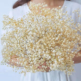 Natural Fresh Dried Baby's Breath