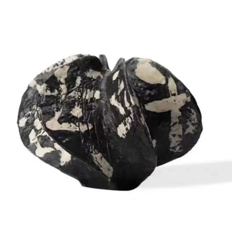 Wabi-Sabi Hand Painted Vases