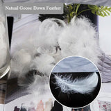 Premium Natural Goose Down Pillow Inserts