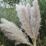 120cm Artificial Pampas Grass Bouquet